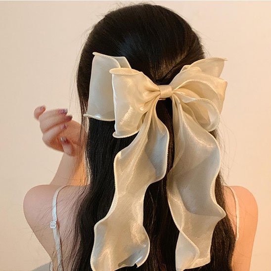 Barrette cheveux 